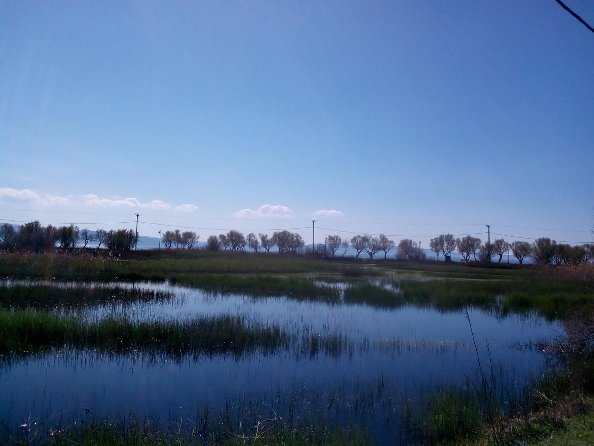Diamanti Studios Skala Kallonis Luaran gambar